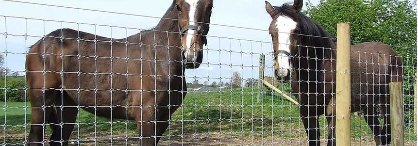 Farm Fence  Field Fence