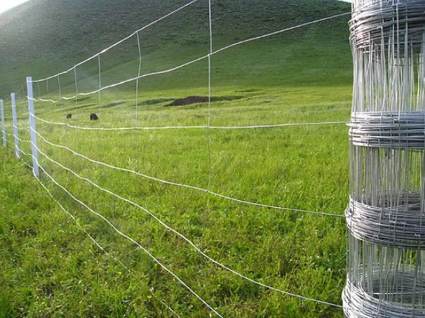 Farm Fence