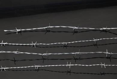 What Is Wire Mesh Fence