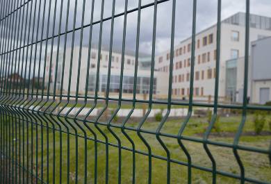 Welded Wire Mesh Fence