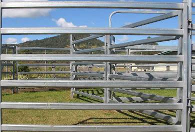 Cattle Fence
