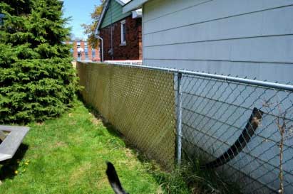 Why should you put a fence around your property