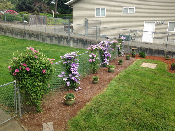 How to choose a fencing for your garden