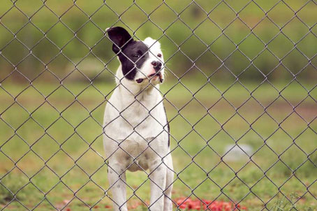 Specifications for chain link fence