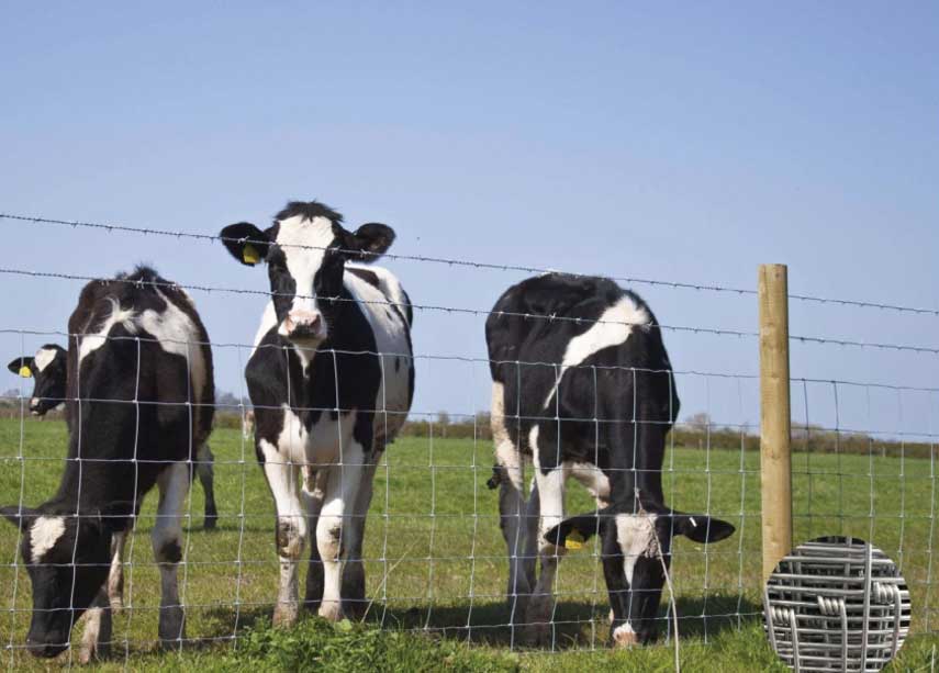 prevent landslides, animal husbandry fences