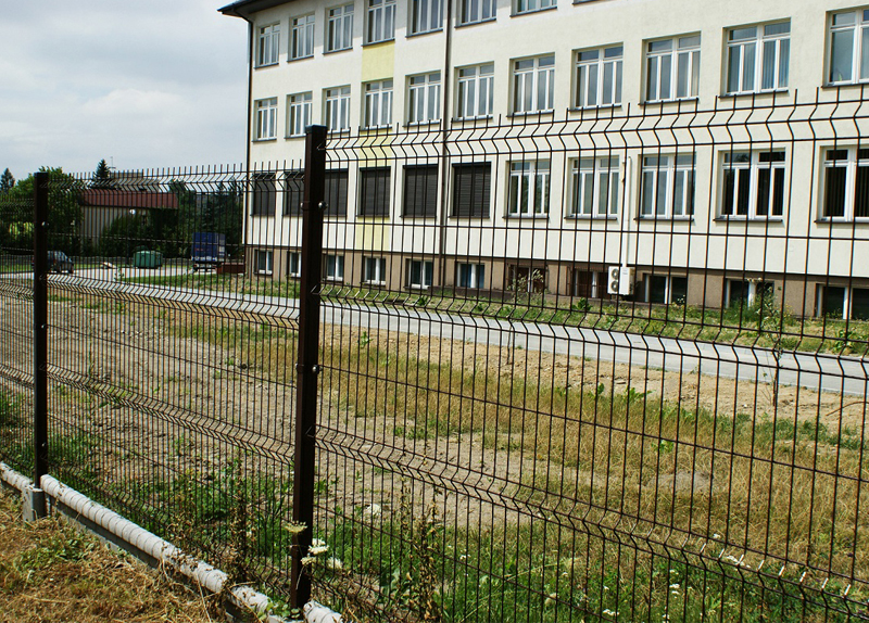 5cf8c60d8cc93.jpg