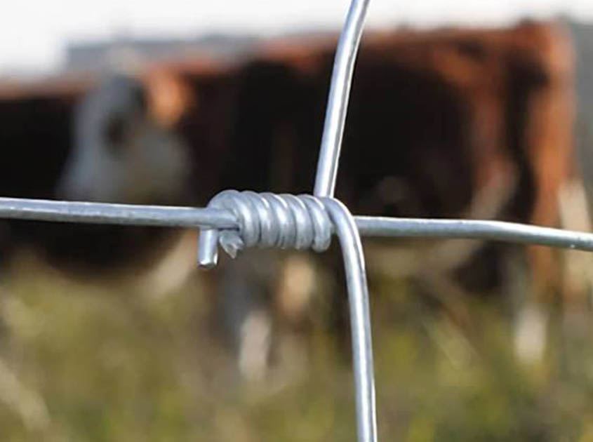 Hinge Knot Field Fence Is Farm Best Cholce