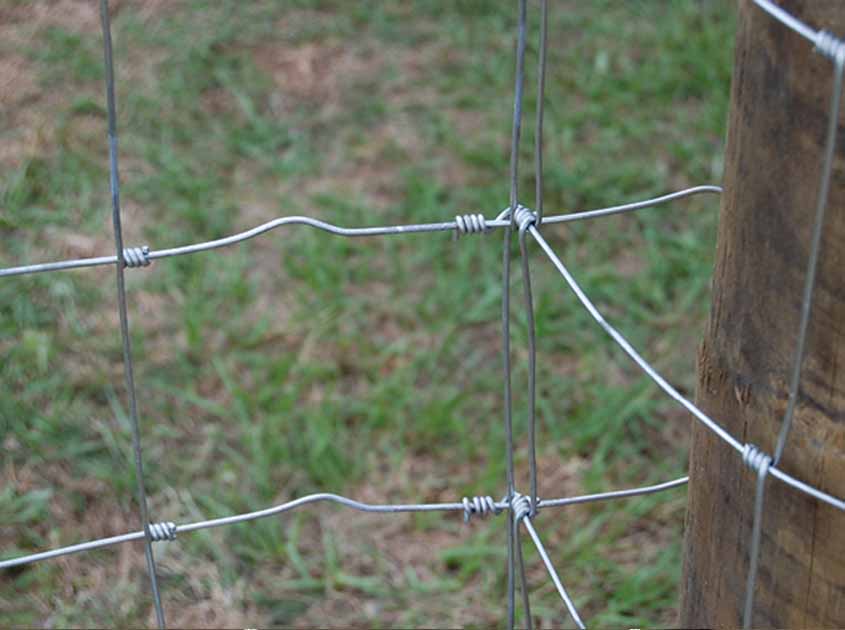 Hinge Knot Field Fence Is Farm Best Cholce