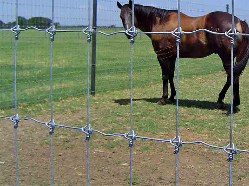 Characteristics of Fixed Knot Deer Fence
