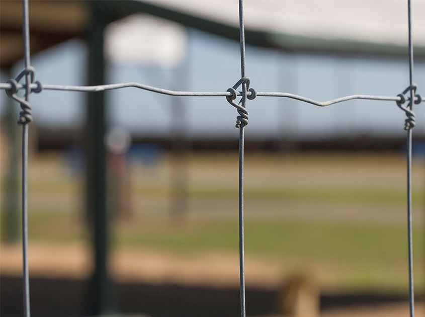 Characteristics of Fixed Knot Deer Fence