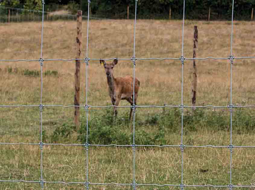 Advantages and applications of fixed knot deer fences
