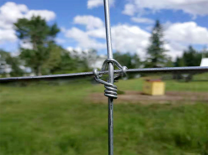 Quality Guaranteed: Fixed Knot Fence for Deer