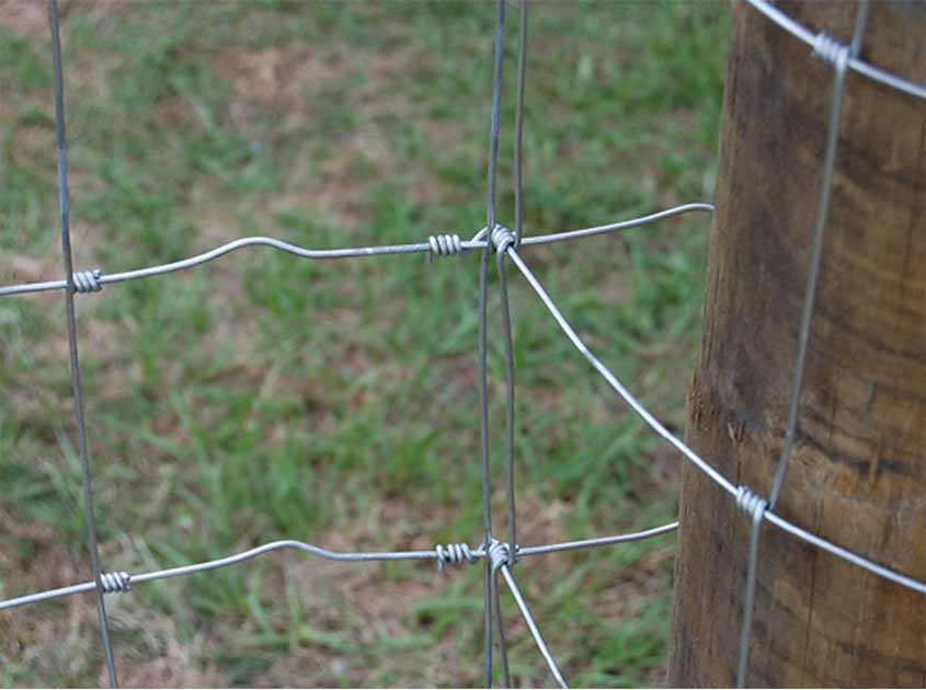 Experience Sharing and Best Practices: Key Points for Selecting and Installing HINGE KNOT FIELD FENCE