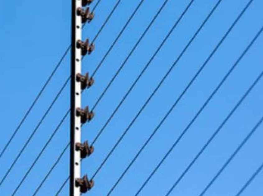 Electric Fence: Advanced Technology for Unparalleled Security and Deterrence