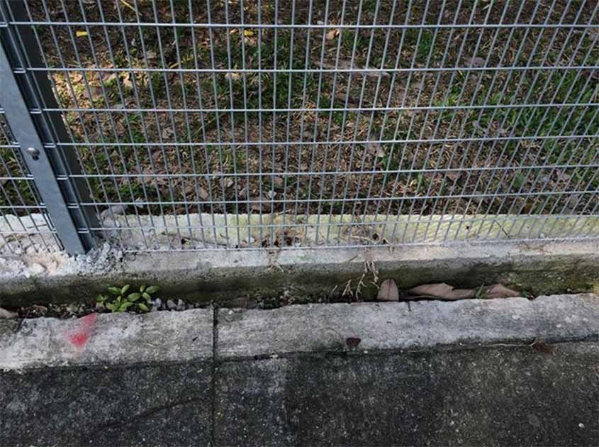 Use the 358 Fence to uncover the secrets of the Sturdy Shelter