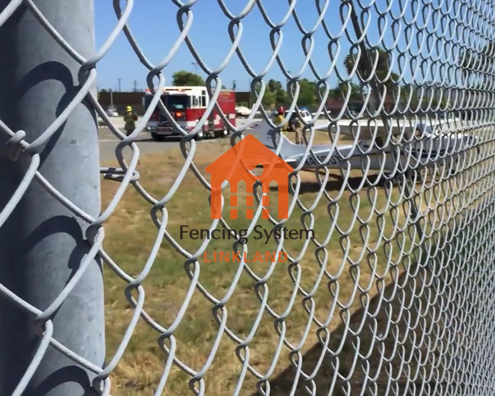 Freeing the Airport fence: Exploring the Quirky Side of Aviation Safety