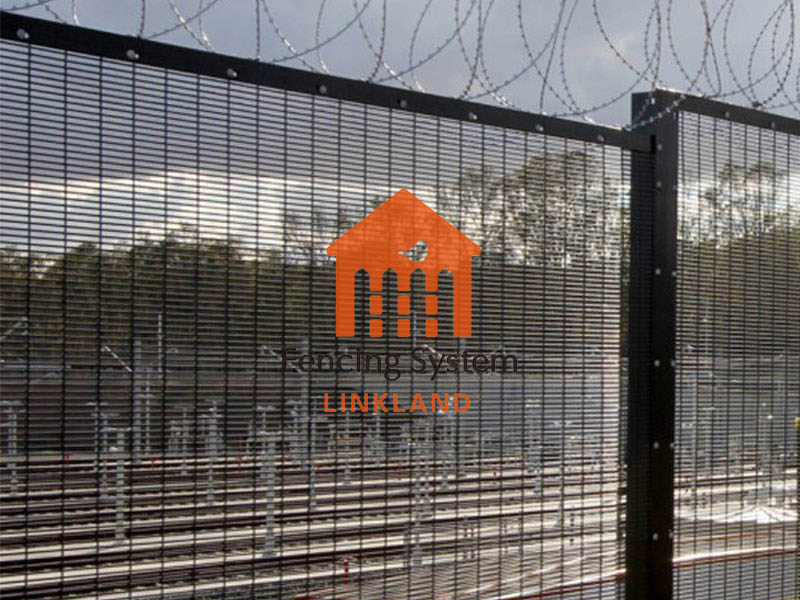 Wildlife Management in Airport fence: Balancing Protection and Safety