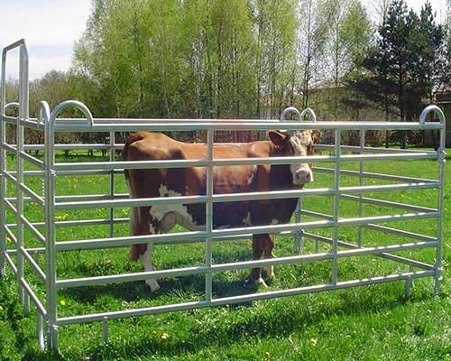 Ensuring Livestock Security: The Importance of High-Quality Cattle fence