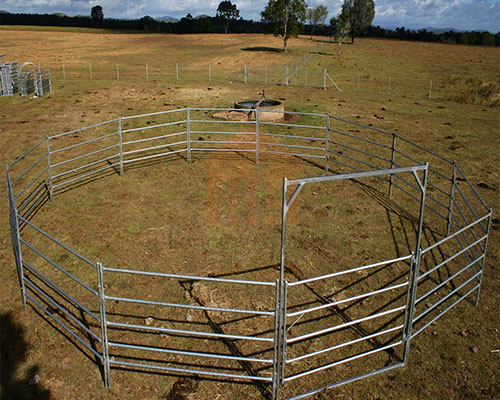 Ensuring Livestock Security: The Importance of High-Quality Cattle fence