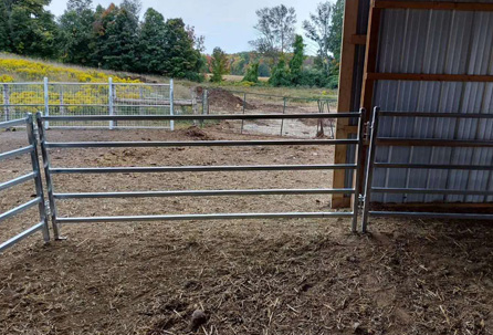 Cattle Panel Fence - Canada