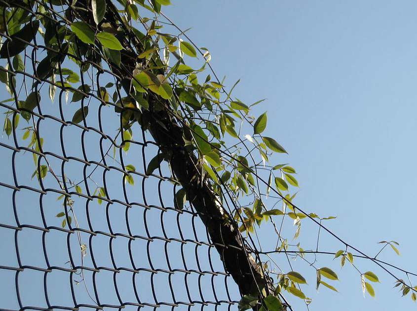 A comprehensive analysis of chain link fences