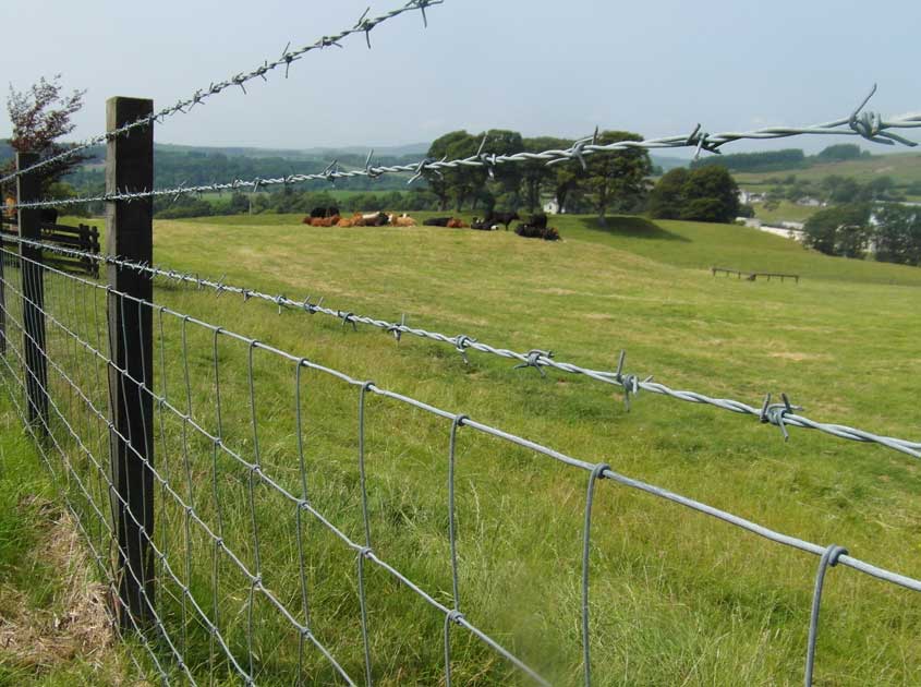 The Ultimate Guide to Farm Fencing: Ensuring Security and Efficiency