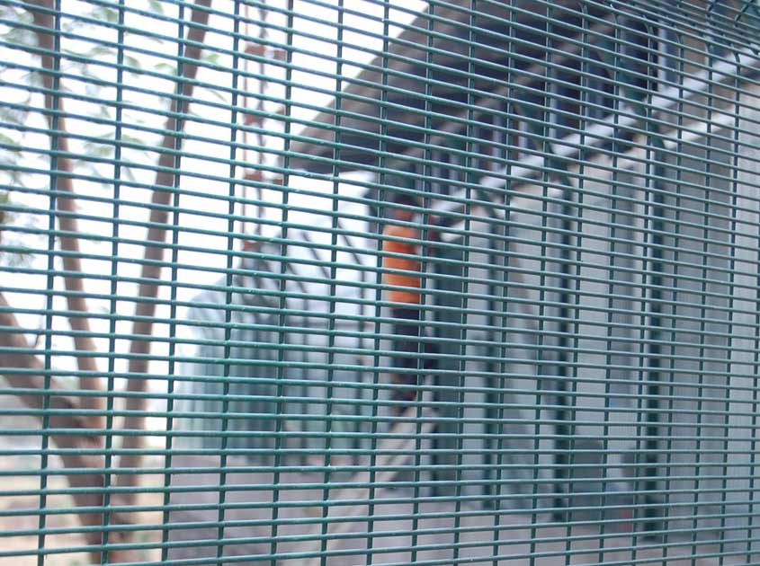 358 Security Fencing: High-Performance Anti-Climb Fence for Middle Eastern Projects