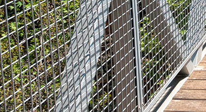 Why Choose Welded Wire Fence for Security and Protection?cid=5 Why Choose Welded Wire Fence for Security and Protection?cid=5