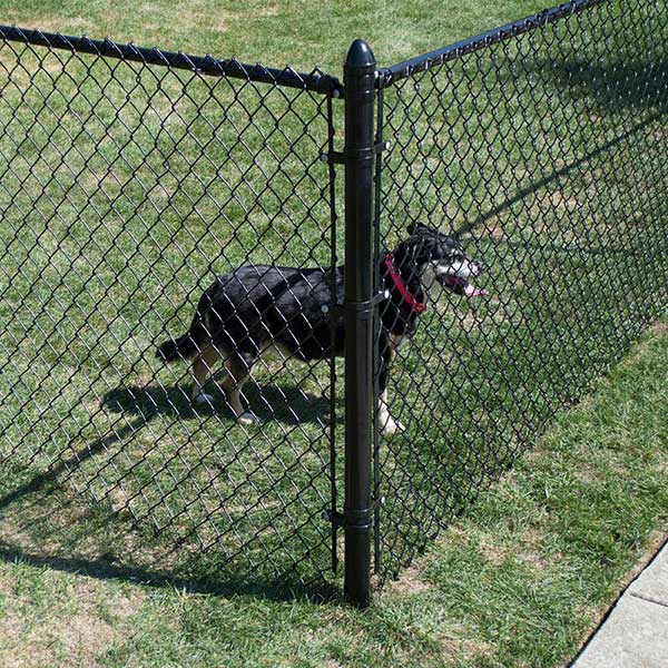 How Much Does Chain Link Fence Cost? A Complete Guide to Material Prices, Shipping and Project Costs