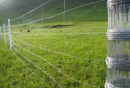 Farm Fence