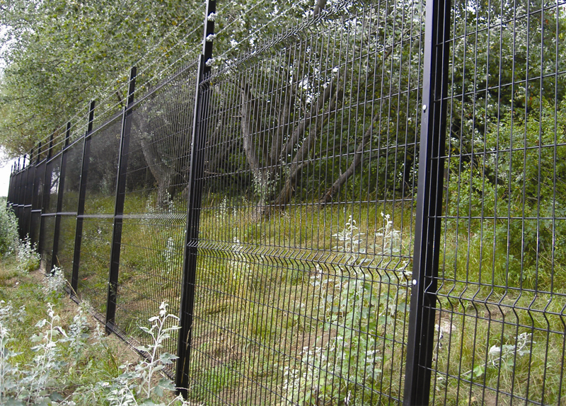 Welded Wire Mesh Fence(3D)