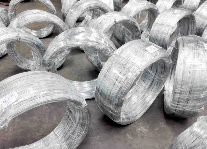 Electro Galvanized Wire