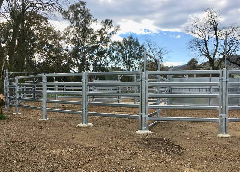 Cattle Fence&Sheep Fence