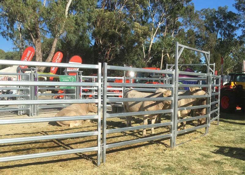 Cattle Fence&Sheep Fence