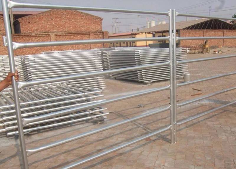 Cattle Fence&Sheep Fence