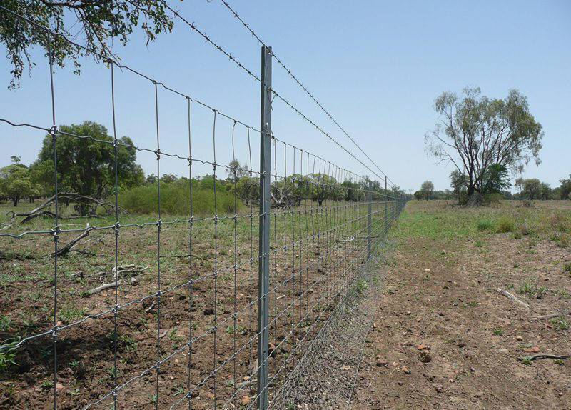 Fixed Knot Deer Fence