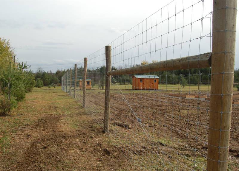 Fixed Knot Deer Fence