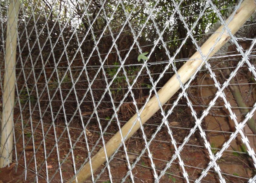 Welded Razor Wire Mesh