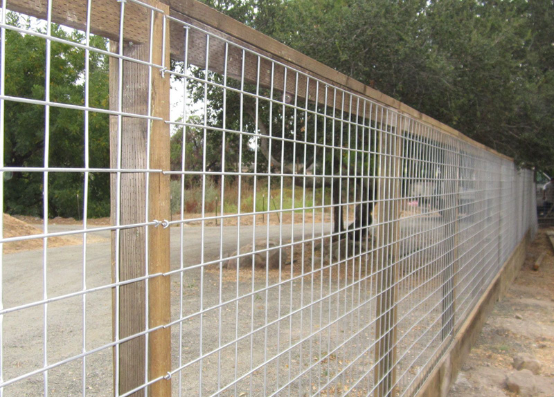 Wire Mesh Panels