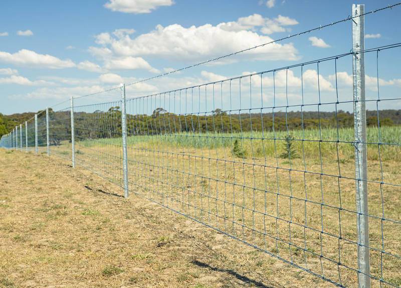 Hinge Knot Field Fence