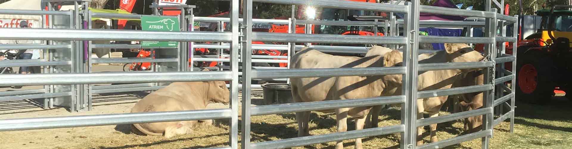 Cattle Fence&Sheep Fence