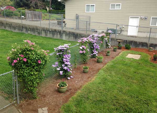 How to choose a fencing for your garden